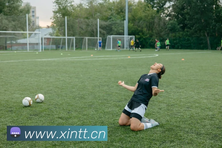 九游网页版入口官网平台生态图